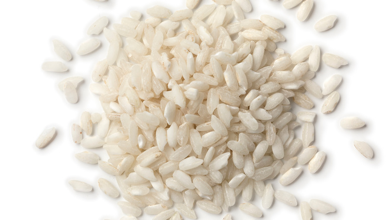 carnaroli rice