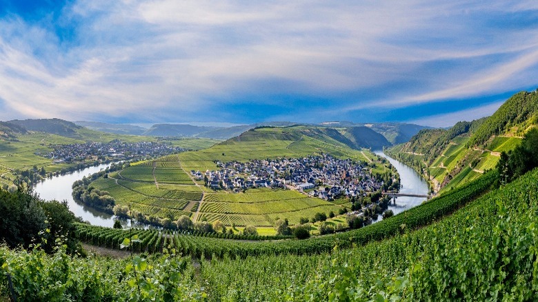 mosel river in Germany