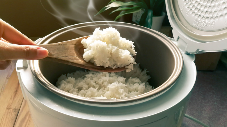 rice in a rice cooker