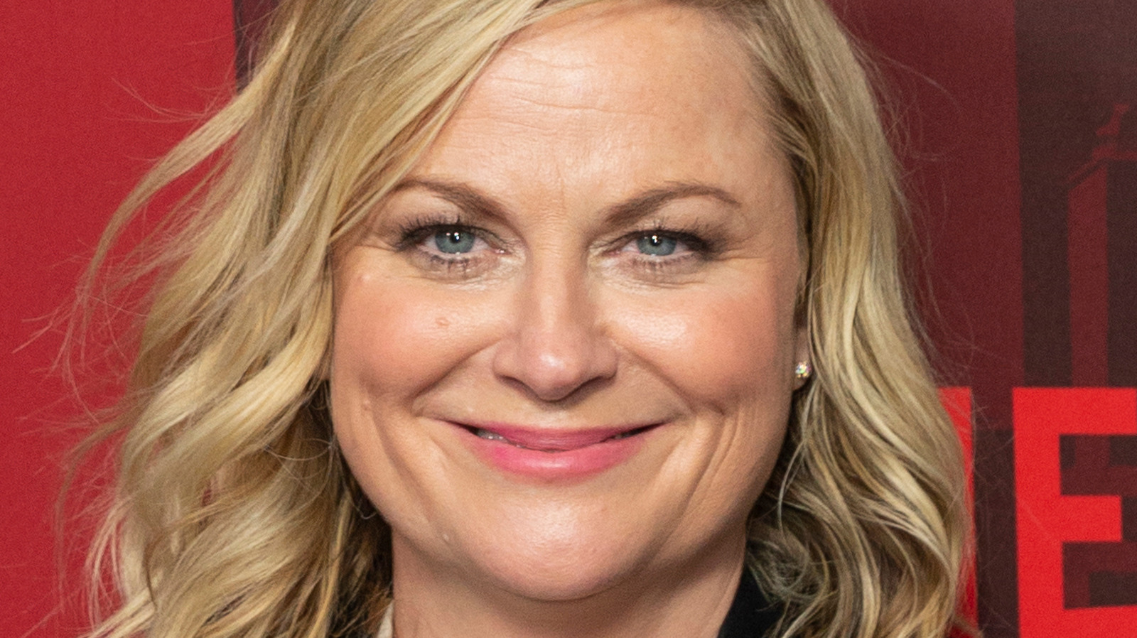 Everything We Know About Amy Poehler's New Series, Baking It