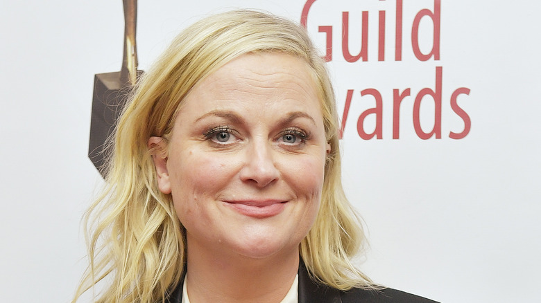 Headshot of Amy Poehler