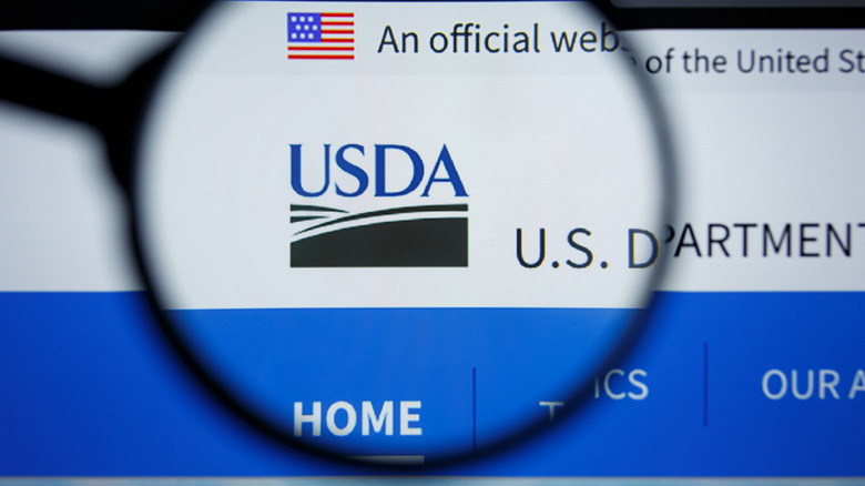 USDA logo with a magnifying glass in front of it