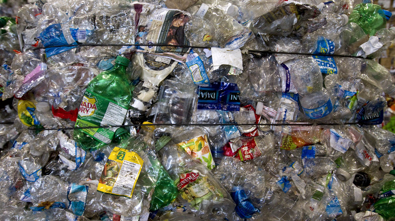 Discarded plastic drink bottles at a recycling facility 