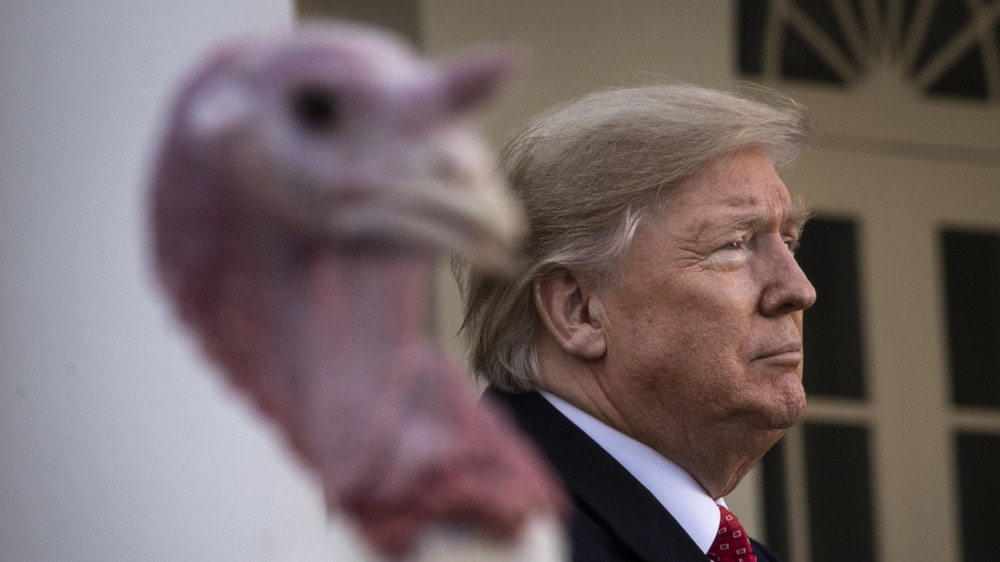 Trump and a turkey