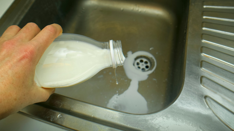 Hand pours milk down the drain