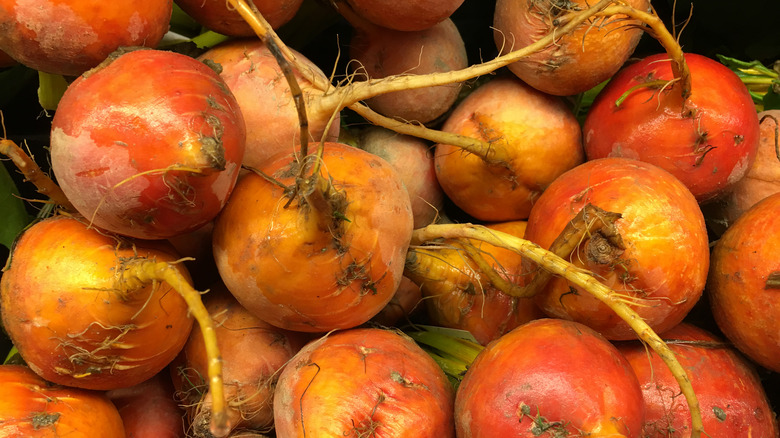 A vine of raw golden beets