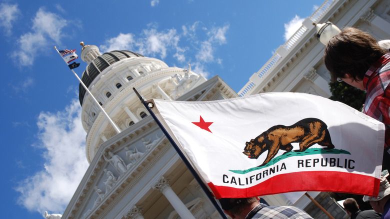 california flag in front of capitol building