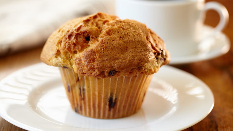 blueberry muffin on plate