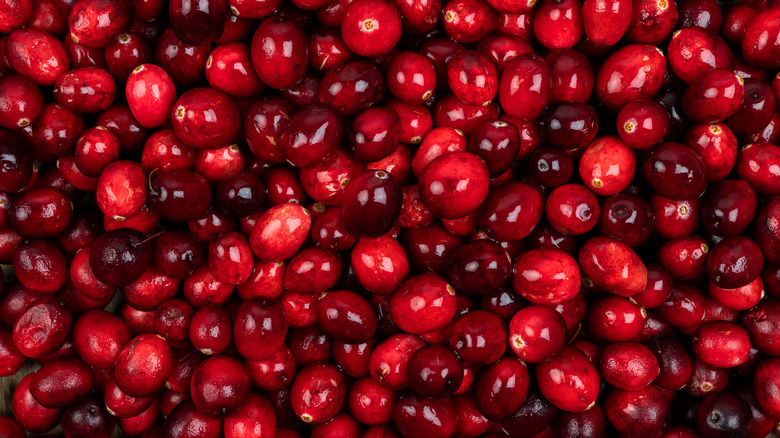 Cranberries close-up