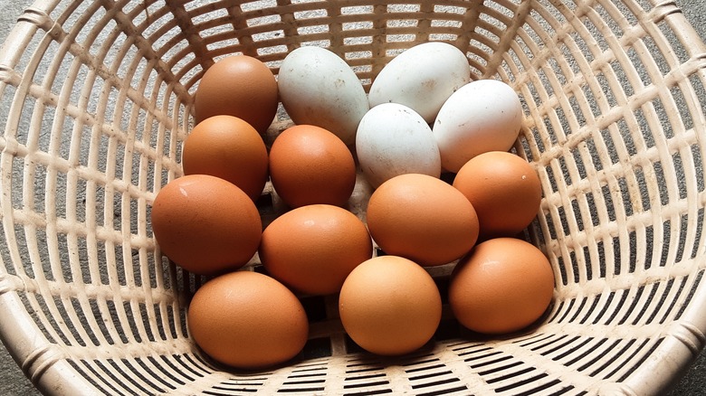 chicken and duck eggs in a basket