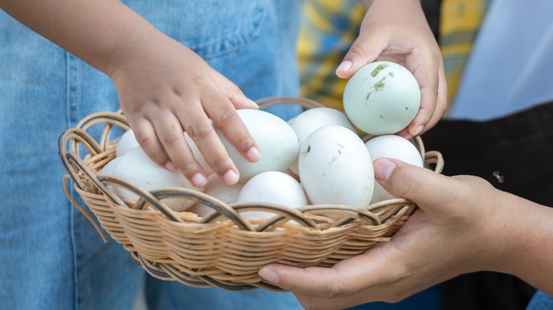 hands holding a basket of duck eggs