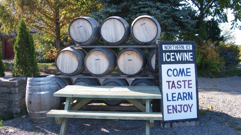 Wine barrels and ice wine sign
