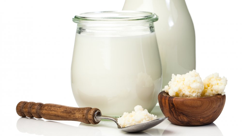 fermenting milk with kefir grains