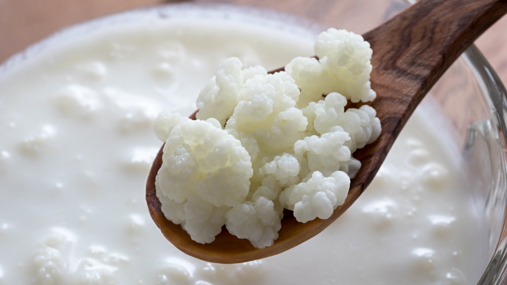 kefir is a probiotic powerhouse