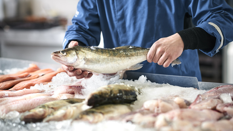 person selling fish