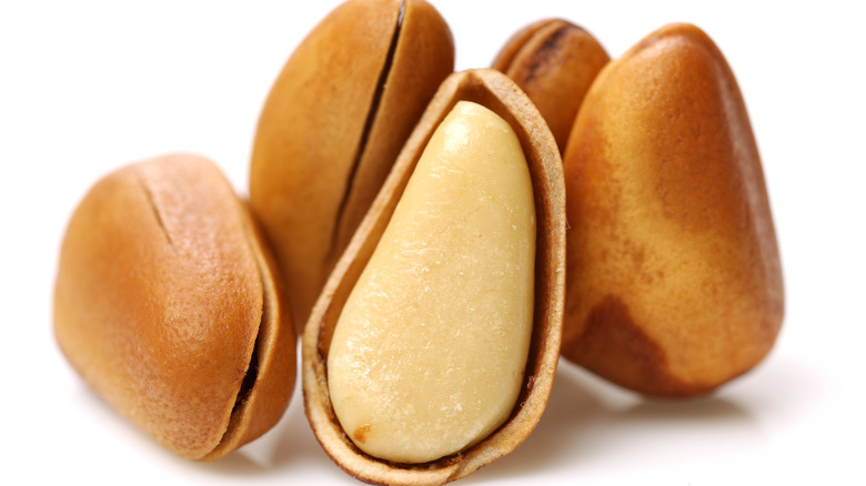 Pine nuts in shells on white background