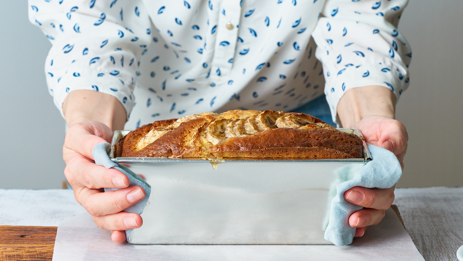 Bread Proofer & Slow Cooker