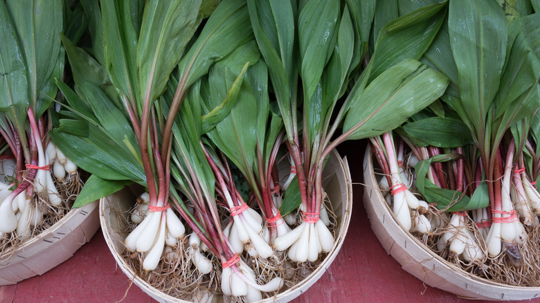 Ramps in baskets