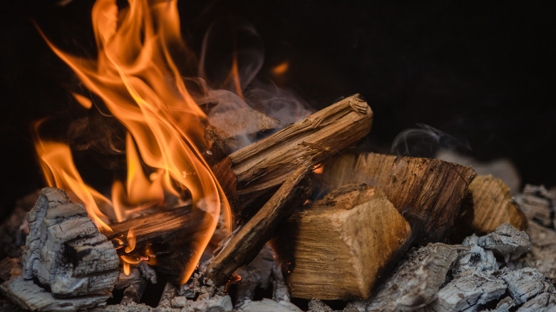 Wood burning fire 