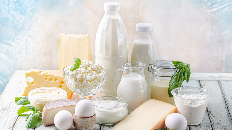 dairy items such as cheese, milk, and yogurt in containers