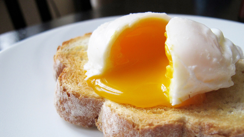 Close-up of poached egg