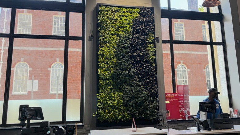 living plant wall in Philadelphia Wawa store