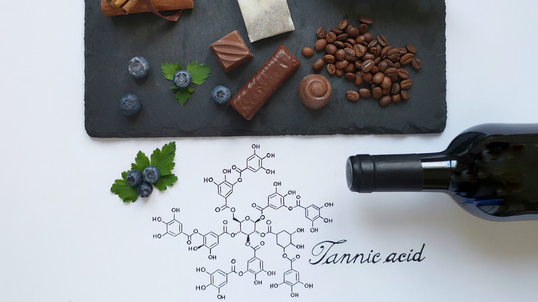 Tannic acid illustration with wine and chocolate