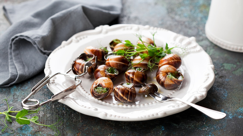 Snails in their shell on a white plate