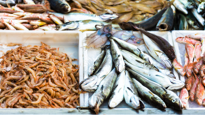 fresh fish at market