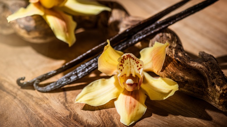 Vanilla flowers and bean pods