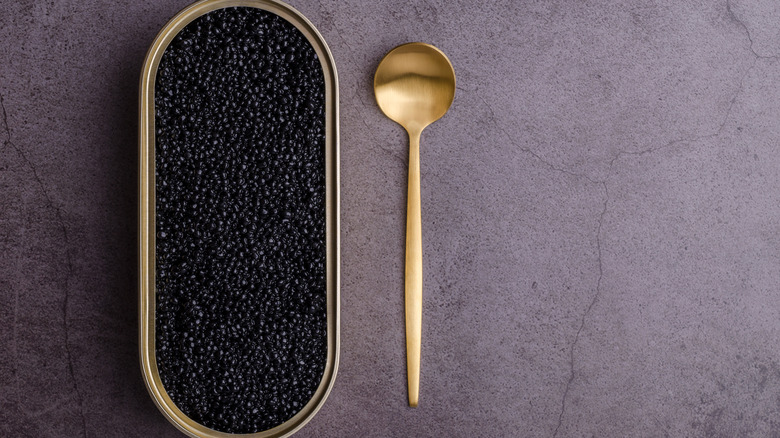 A tin of caviar with a golden spoon