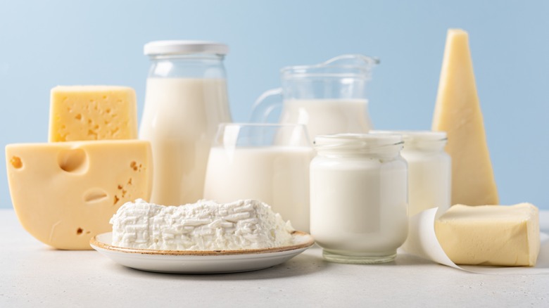 dairy products including milk and cheese