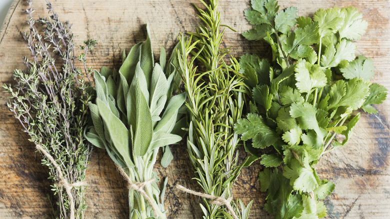 thyme, sage, rosemary and parsley bunches