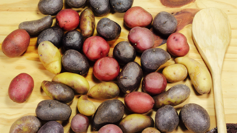 fingerling potato varieties