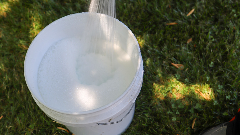 person spraying water into soapy bucket