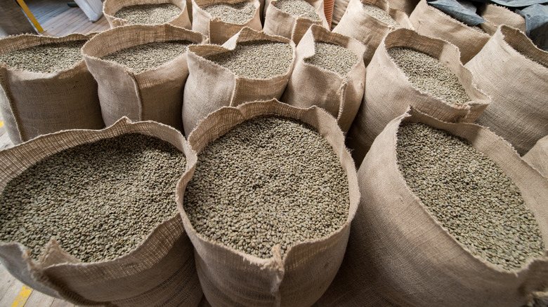 sacks of green coffee beans