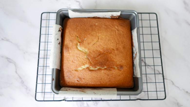 cake in pan on rack