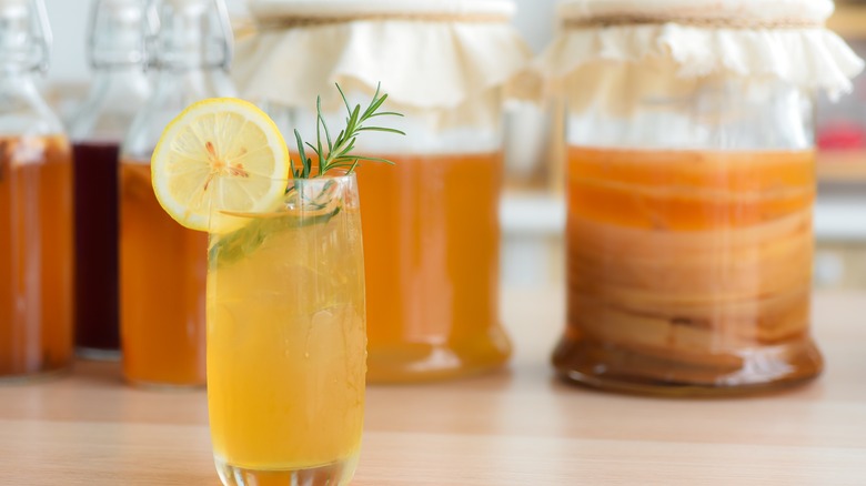 Glass of kombucha with fermenting kombucha