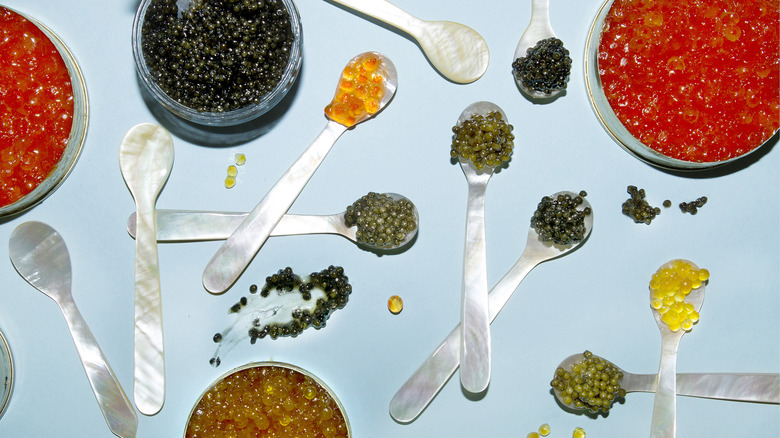 Different types of caviar