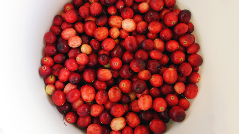 cranberries with some white or pink berries