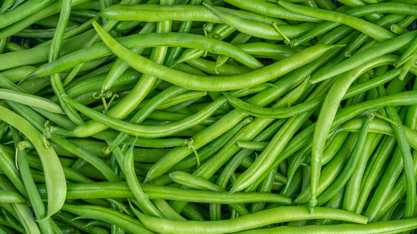 False Facts About Green Beans You Thought Were True