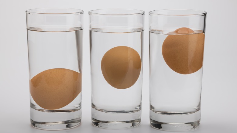 Eggs floating in water