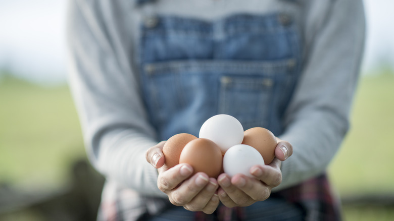 Woman holding eggs 