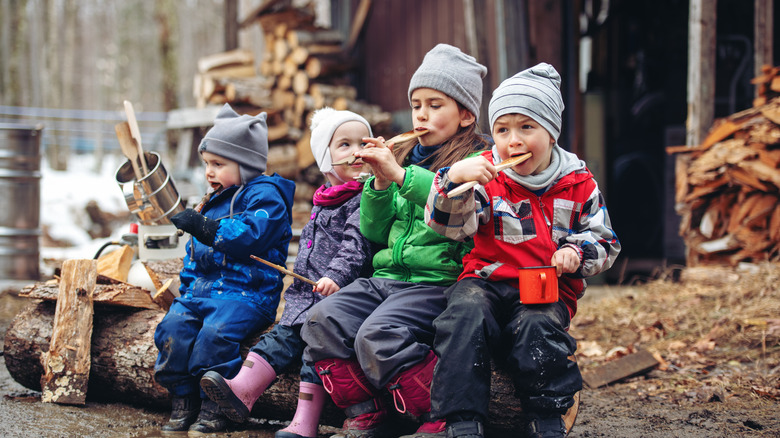 kids tasting maple syrup