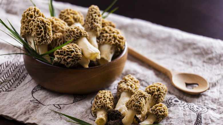 bowl of morel mushrooms with wooden spoon 