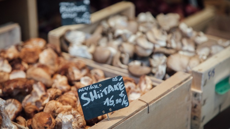 shiitake mushrooms for sale at a market