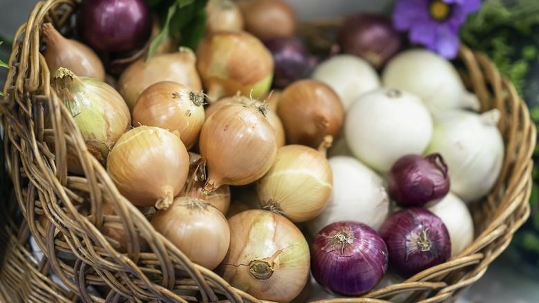 colorful onions