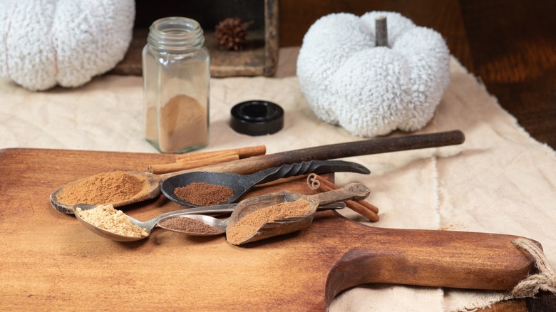 spoons filled with spices