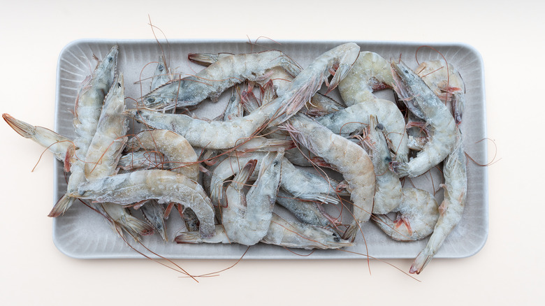 frozen shrimps