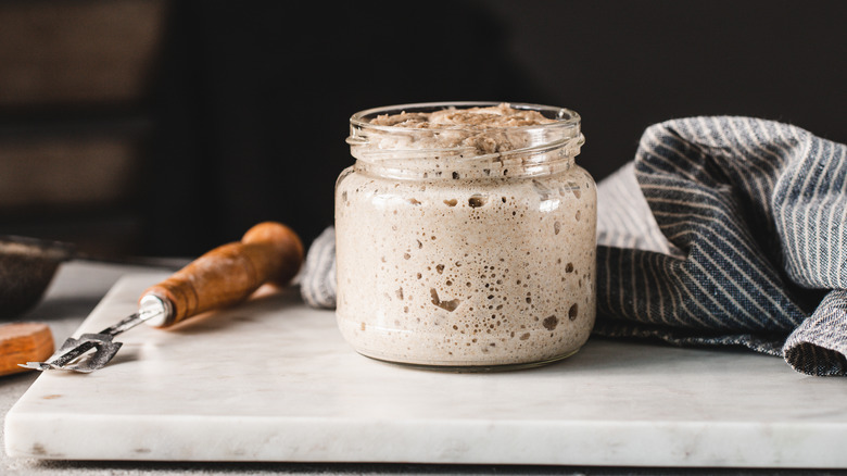 sourdough starter in jar